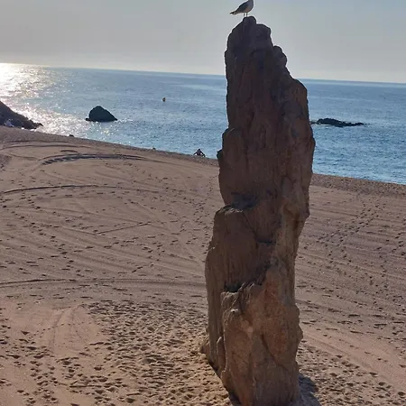 Daire Bravaholidays-250-poblet Blanes