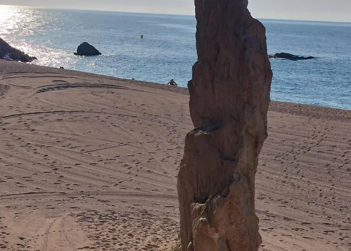 Apartamento Bravaholidays-250-poblet Blanes
